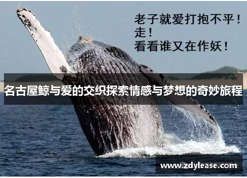 名古屋鲸与爱的交织探索情感与梦想的奇妙旅程