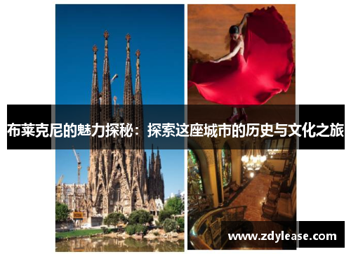 布莱克尼的魅力探秘：探索这座城市的历史与文化之旅