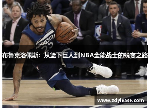 布鲁克洛佩斯：从篮下巨人到NBA全能战士的蜕变之路